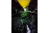 1名参加OK!トイレ付きバスで行く【名古屋駅発】*1泊4食付*季節を満喫 25名限定ツアー『さくらんぼ狩りとホタル観賞 下部温泉』1